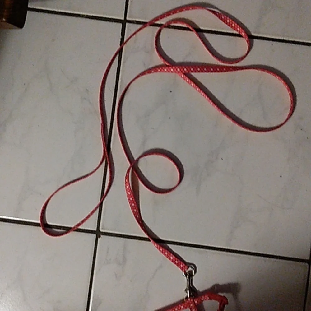 NWOT Coastal CAT harness only tried on my cat shes too old to teach!